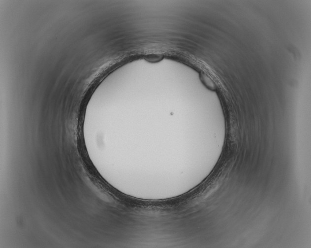 X0000112410530200909110951