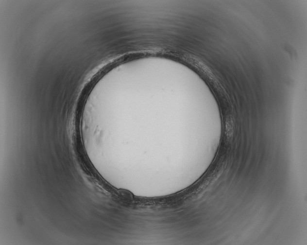 X0000112410532200909110951