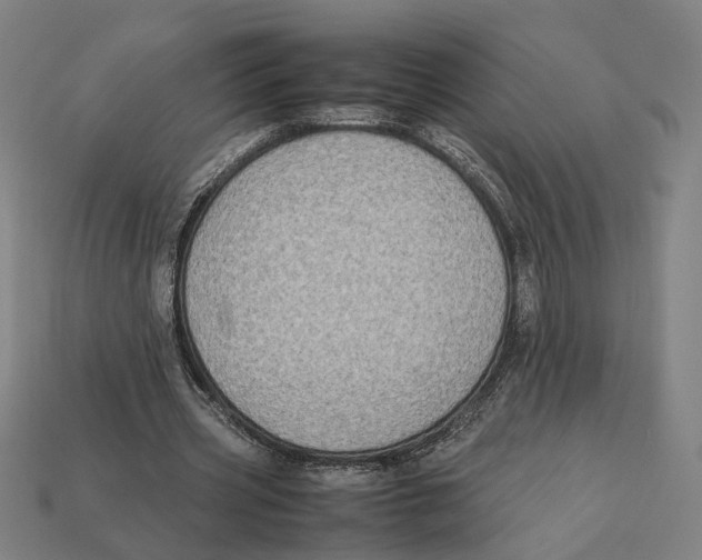 X0000112410533200909110951