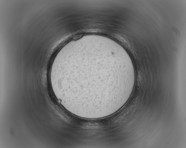 X0000112410535200909110951