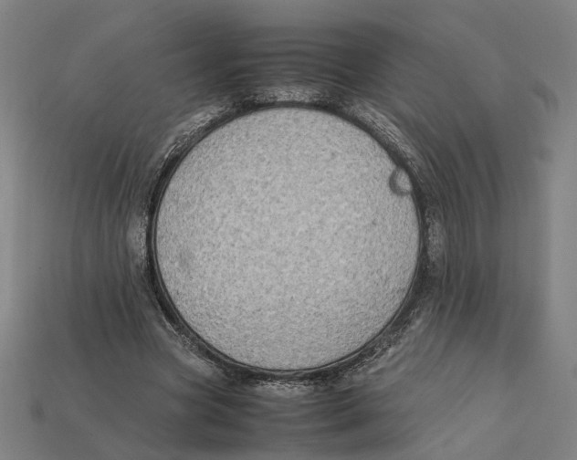 X0000112410537200909110951