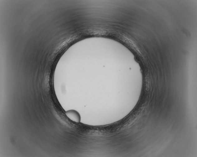 X0000112410538200909110952
