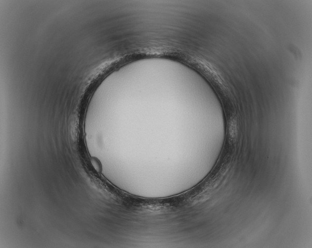 X0000112410540200909110952
