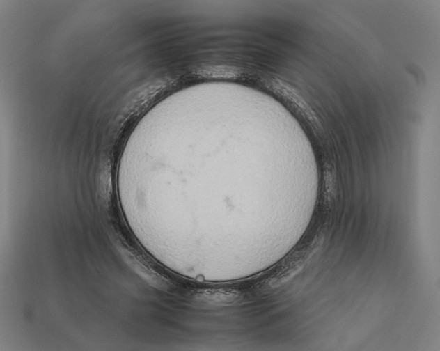 X0000112410541200909110952