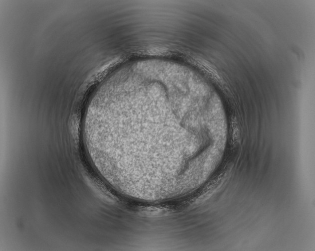 X0000112410542200909110952