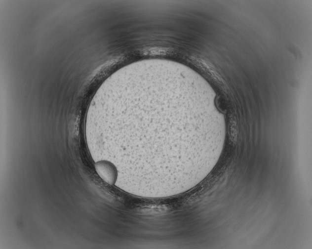 X0000112410543200909110952