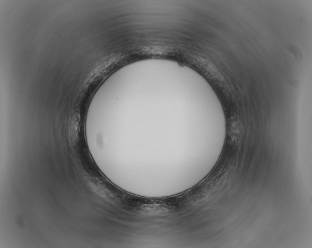 X0000112410544200909110952