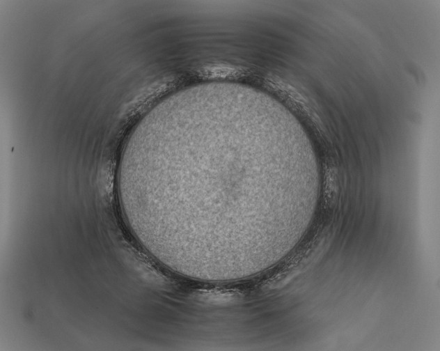 X0000112410545200909110952