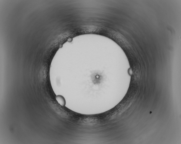 X0000112410546200909110952