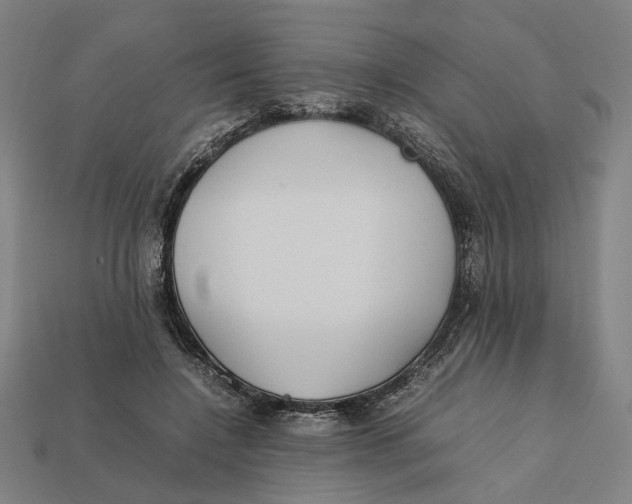 X0000112410548200909110952