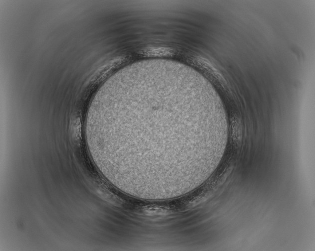 X0000112410549200909110952