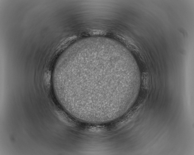 X0000112410550200909110952