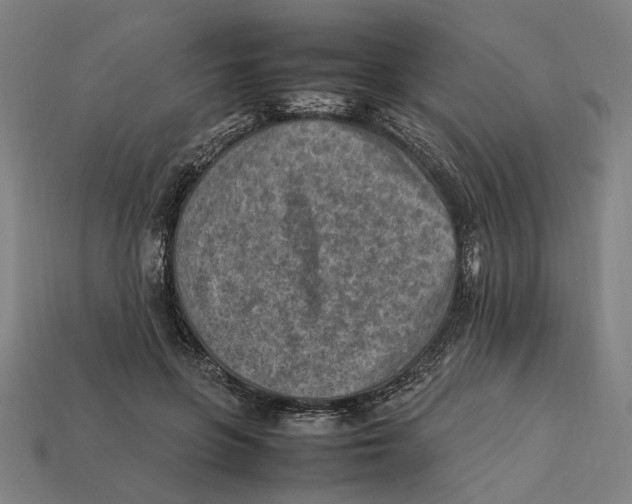 X0000112410551200909110952