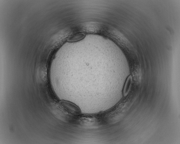X0000112410552200909110952