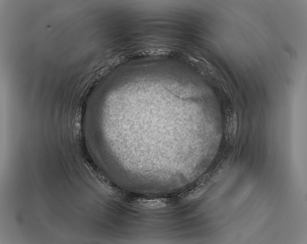 X0000112410553200909110952