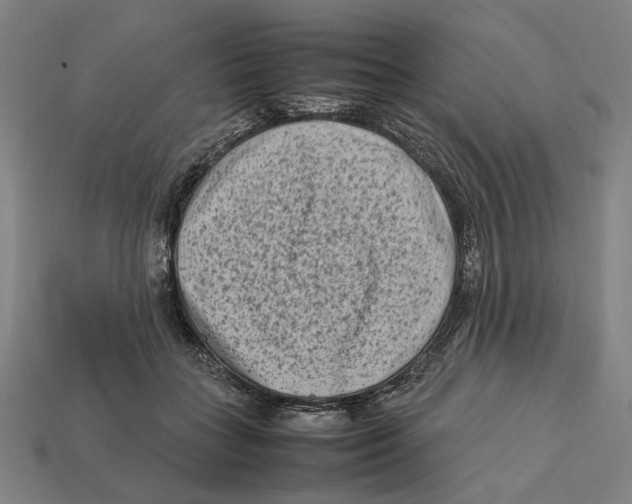 X0000112410555200909110952