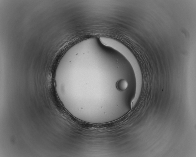 X0000112410556200909110952