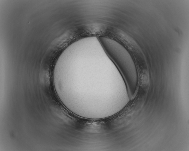 X0000112410558200909110952