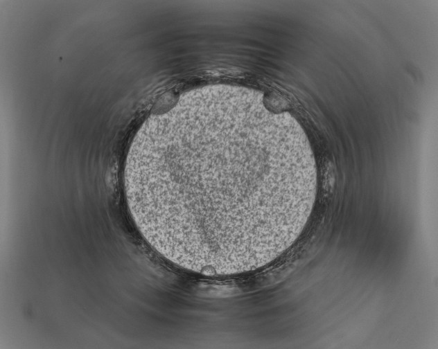 X0000112410559200909110952