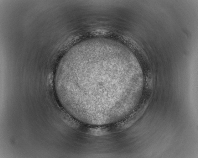 X0000112410561200909110952