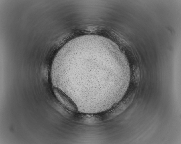 X0000112410562200909110952