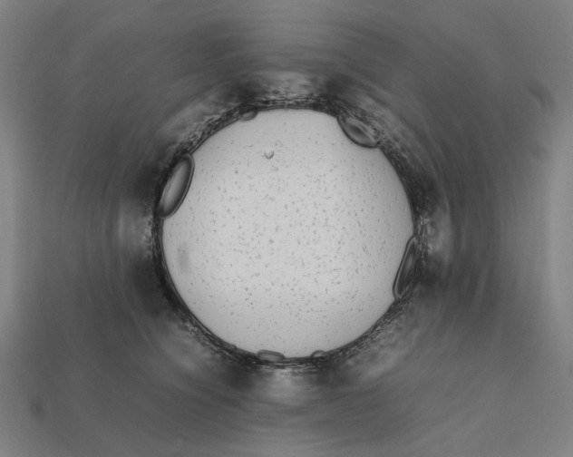 X0000112410564200909110952