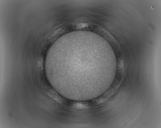 X0000112410565200909110952