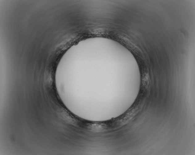 X0000112410566200909110952