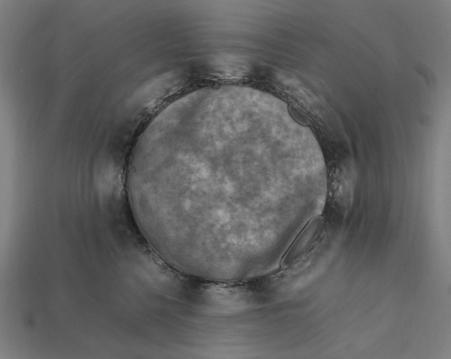 X0000112410568200909110952