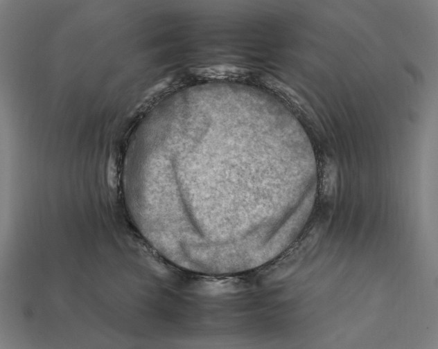 X0000112410569200909110952
