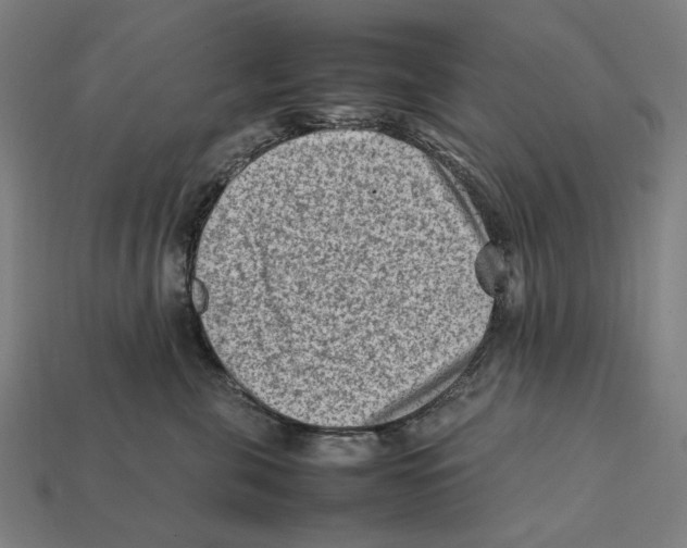 X0000112410571200909110952