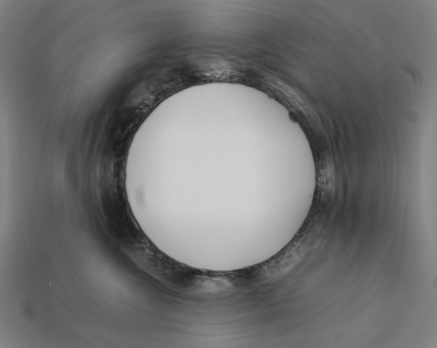 X0000112410572200909110952