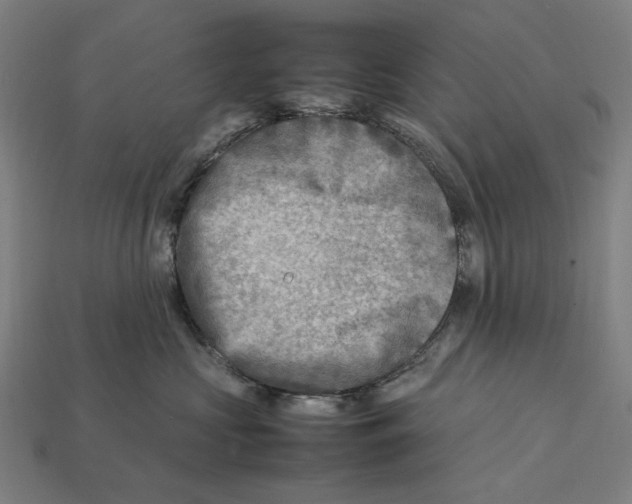 X0000112410573200909110952