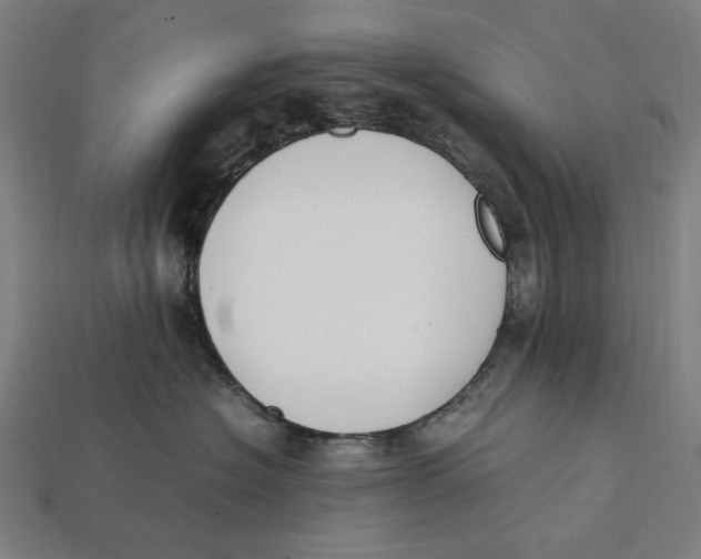 X0000112410574200909110952