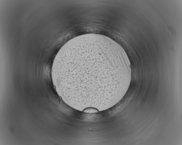 X0000112410575200909110952