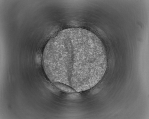 X0000112410576200909110952