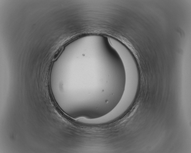 X0000112410577200909110951