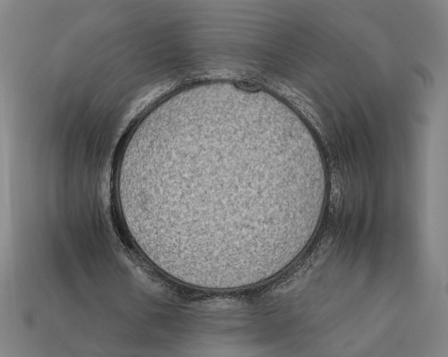 X0000112410578200909110951