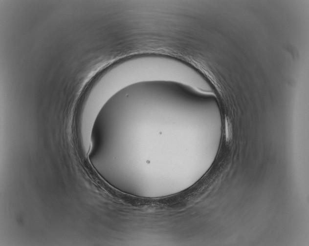 X0000112410579200909110951