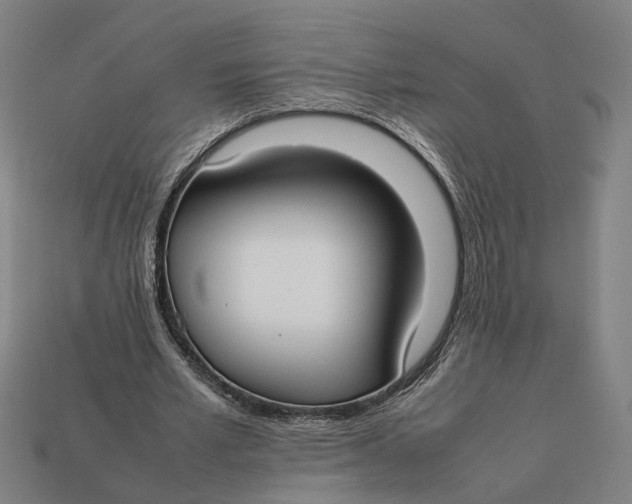 X0000112410581200909110951
