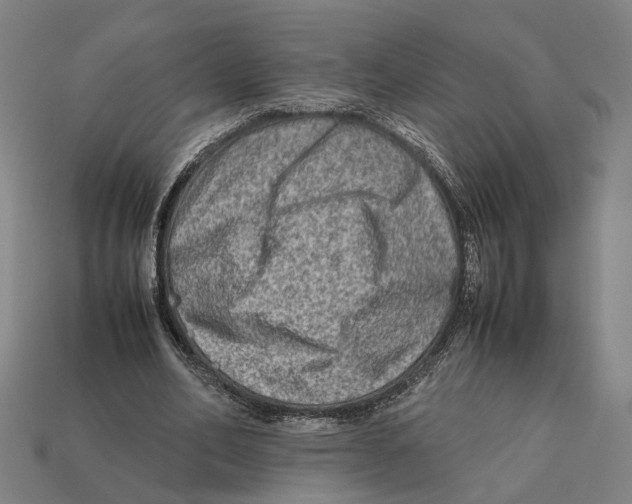 X0000112410582200909110951