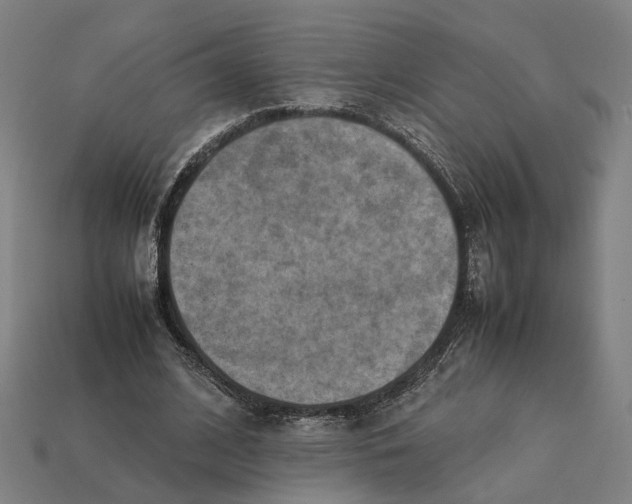 X0000112410584200909110951