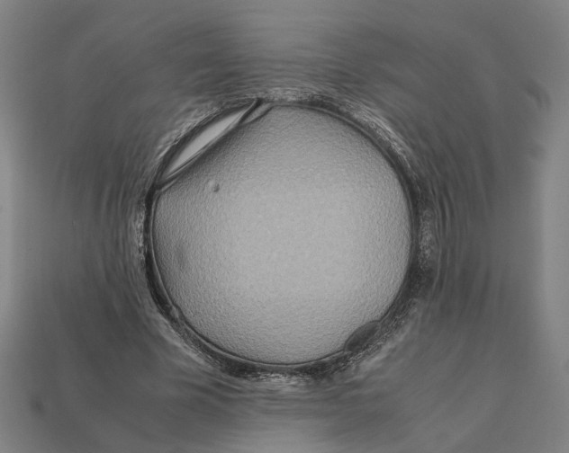 X0000112410585200909110951