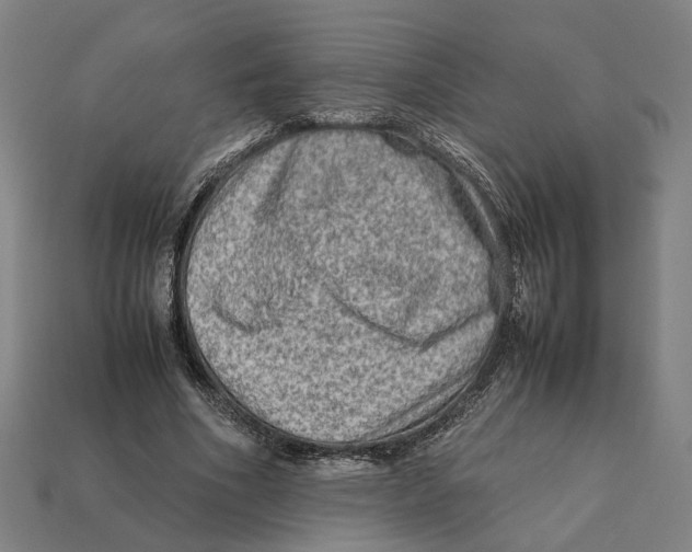 X0000112410586200909110951