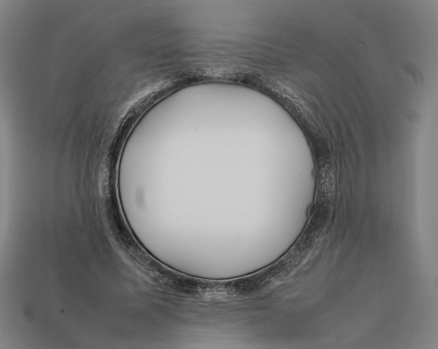 X0000112410587200909110951