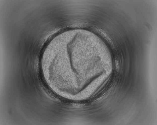 X0000112410588200909110951