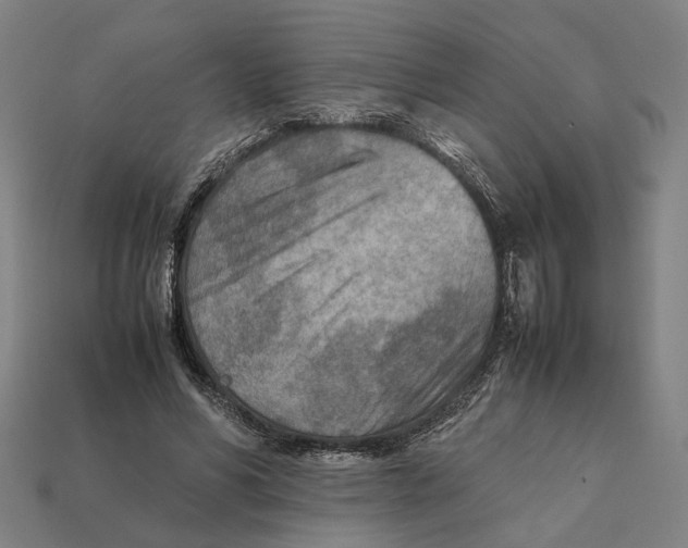 X0000112410590200909110951
