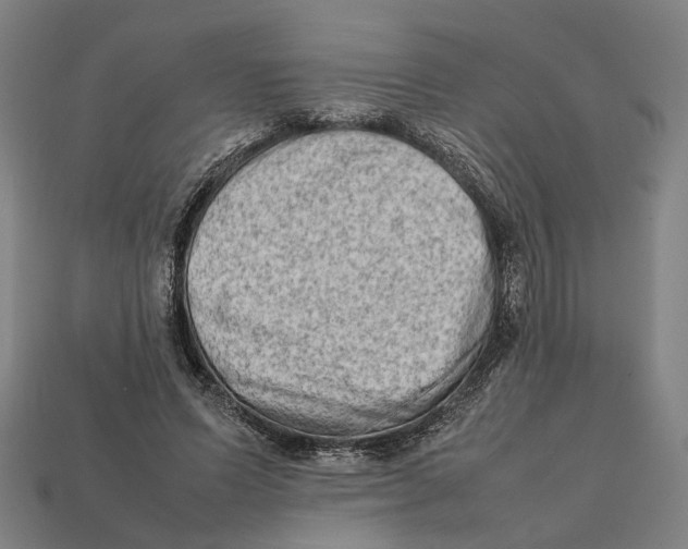 X0000112410591200909110951