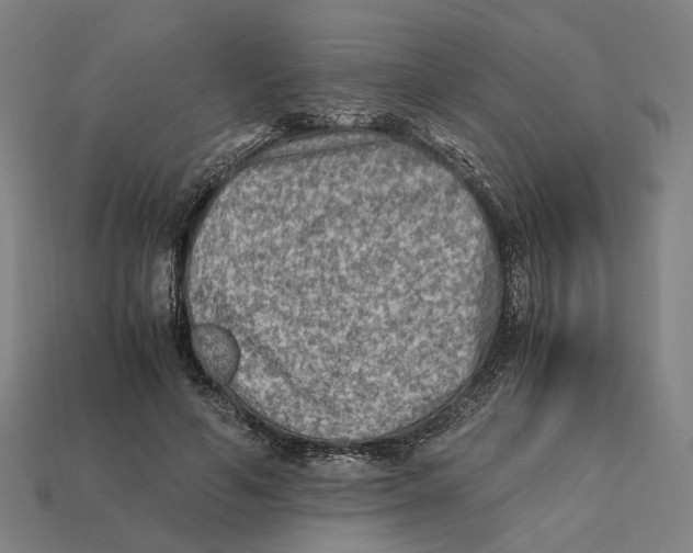 X0000112410594200909110951