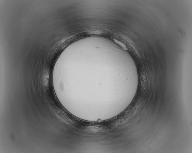 X0000112410596200909110951